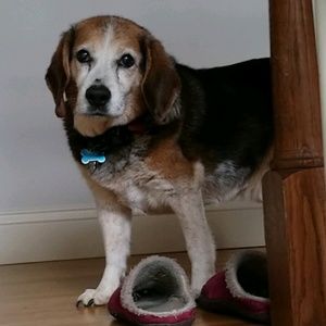 Meet your Posher, Mary